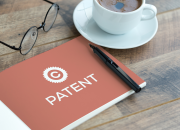 PATENT TRANSLATION… NOW WHAT?